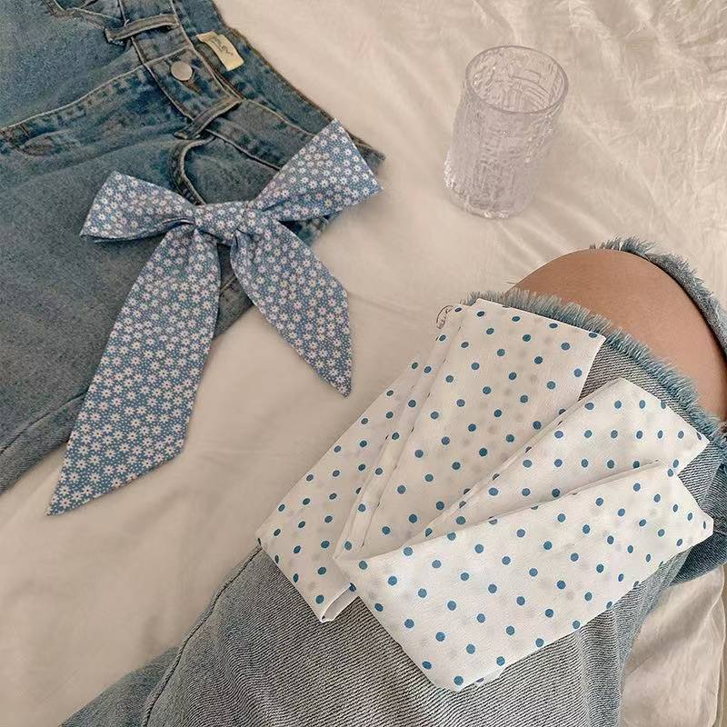 New Spring Blue‑Tone Twilly Sc - огляд і ціна Travel Accessories Aesthetic